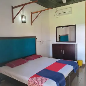 Bed & Breakfast Ceylonica